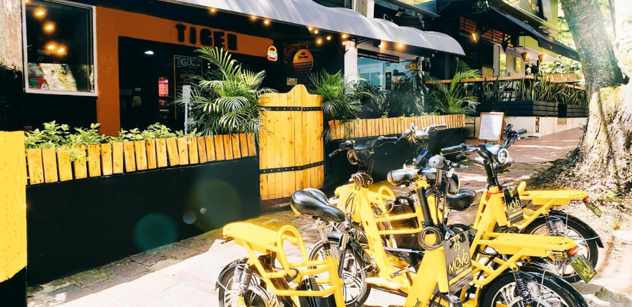 Tiger Hostel