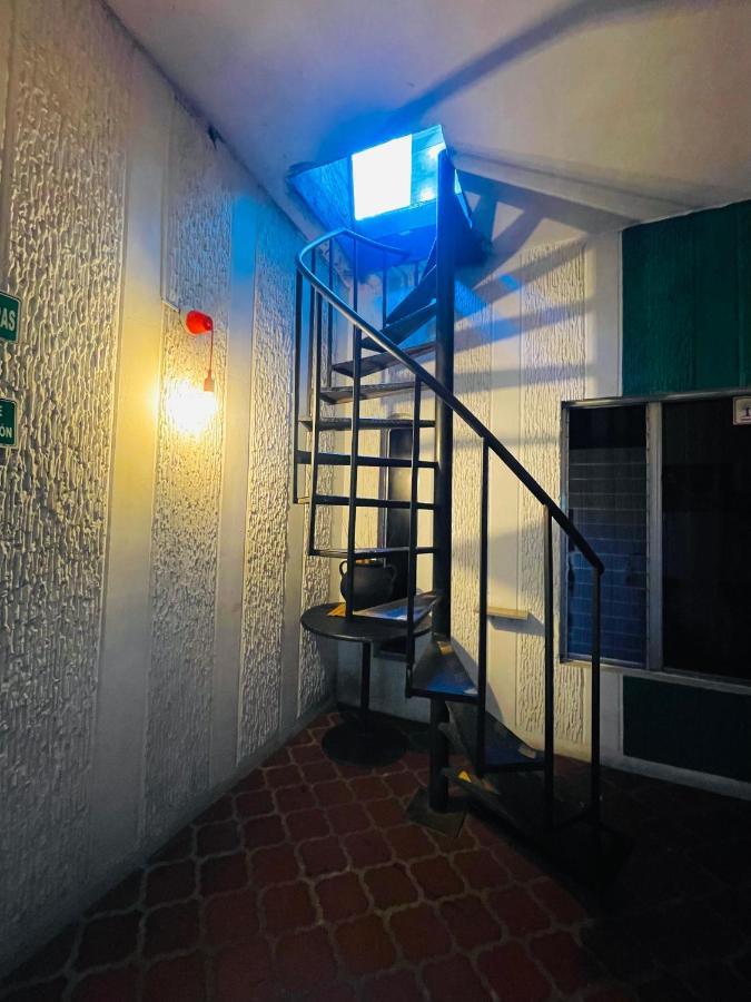 Hostel Tiger