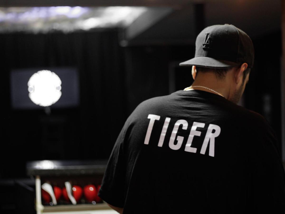 Tiger Hostal *